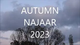 han phuong video mùa thu hoa lan tháng 10