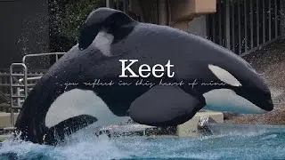Keet  - You reflect in this heart of mine ♥
