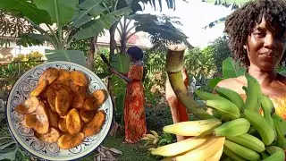 Backyard Gardening, Harvesting Bananas and Preparing  A delicious Snack.