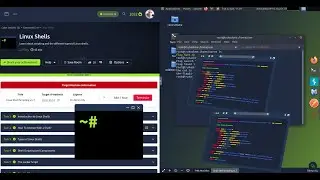 🐧🐧 Getting Started with Linux Shells: Basics of Scripting in Cyber Security 101 | TryHackMe 🐧🐧