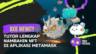 Cara Munculin NFT Yang Sudah Kita Beli Di Metamask - TUTORIAL SINGKAT