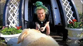 My Dog Filmed This Video