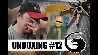 UNBOXING #12: Paczka na powrót do pająków od Kenley'a .
