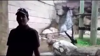 Ape does something fucking epic