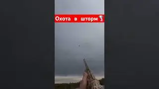 Охота на уток🦆🦆🦆Выстрел 40+