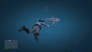 Grand Theft Auto V  - Killing The Shark
