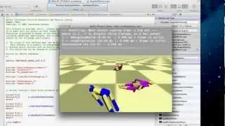 Ragdoll Demo
