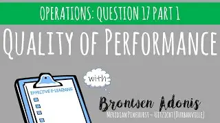 Q17 PART 1 QUALITY OF PERFORMANCE BUSINESS FUNCTIONS