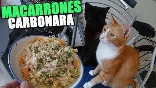 I MAKE MACARONI CARBONARA