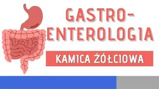 Kamica żółciowa - zapalenie pęcherzyka żółciowego, ostre zapalenie dróg żółciowych