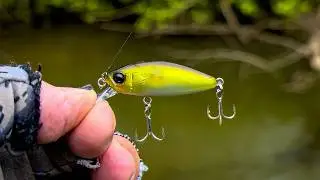 NEW CHUB HIT in my TACKLE BOX 👍 SPINNING FISHING in MAY