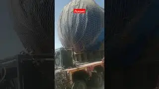 16 августа 2022 г.