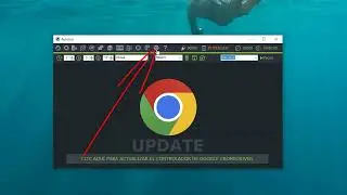 actualizar Chrome driver y navegador Google Chrome