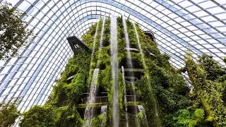 EXPLORE CLOUD FOREST ||  Indoor Waterfall ||  Indoor Forest