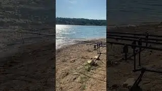 Balık avı yemleme botu #shortvideo #shortsvideo #shorts #short #youtubeshorts #youtube