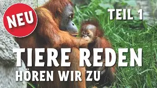 Wir fühlen wie du - Teil 1