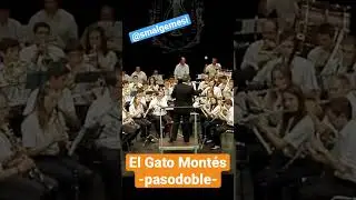 El Gato Montés #pasodoble #taurino #classicalmusic