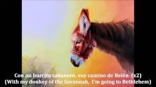 Mi Burrito Sabanero (Spanish lyrics w/ English translation)