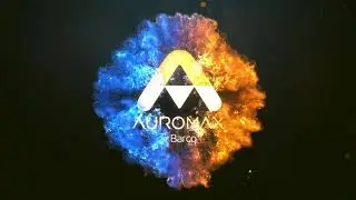 XC TECH - AuroMax Stinger