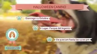 Hallowen Canino