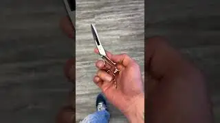 Barber Shears 