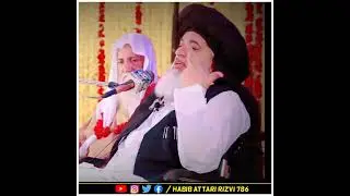 Allama Iqbal Rone Lagy 😢 | Allama Khadim Hussain Rizvi ❤️ #shorts #ytshorts #tlp #love #status