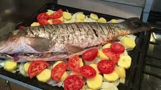 Я больше не жарю! Лучший рецепт САЗАНА! Дешево и полезно!