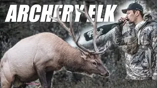 ELK HUNTING THE RUT | SCREAMING BULLS EVERYWHERE | S1 | E32 | ALPINE CARNIVORE