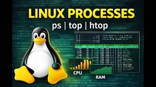 Linux Process management🐧 | ps, top, htop & kill Commands