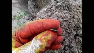 На крапивной деревушке