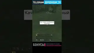 Что то на богатом в Lineage 2 Main | 