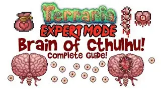 Terraria Brain of Cthulhu Expert Mode Guide! (Fight, How to Spawn, Drops, Brain of Confusion)