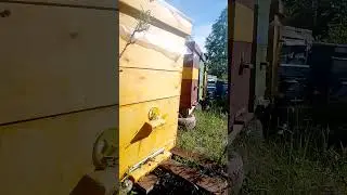 581  Принимаем Заказы на свечи ручной работы!!!! Своя пасека!!!!