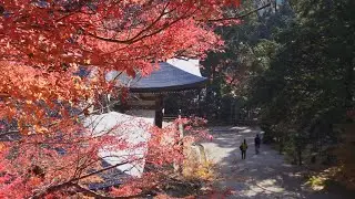 神護寺 - 秋、紅葉 | 京都府京都市右京区