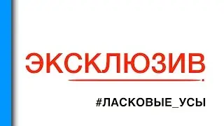 #ЭКСКЛЮЗИВ | ЛАСКОВЫЕ УСЫ | Villa Крокодила | Полтава | 21.11.2015