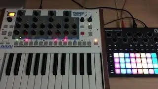 Circuit Tracks and Timbre Wolf (Electro Tribal Crab  Dance)