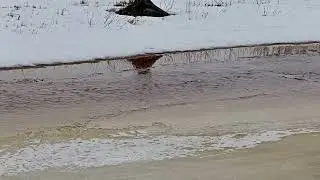 Лодьма в апреле