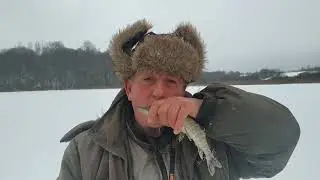 VID 20230114 102051