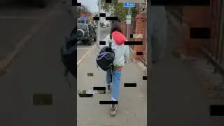 Тигнари, городской лук.