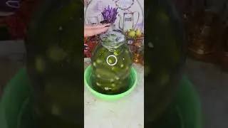 Квашеные огурцы как в бочке. Хранятся при комнатной температуре без кипячения и стерилизации