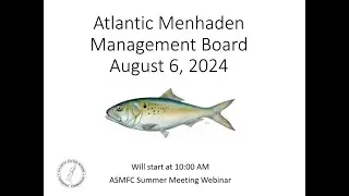 Atlantic Menhaden Board Proceedings Summer 2024