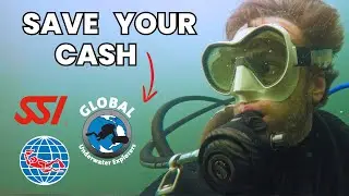 The Truth About Scuba Courses Nobody Tells You