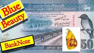 Blue Beauty 50 Rupees of Sri Lanka BankNote Review | Currency of Srilanka | For People of Srilanka