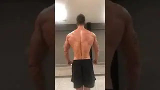 The Back 🔥