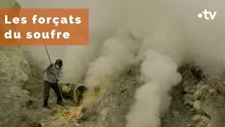 Indonésie : les forçats du soufre