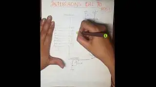 DAC 0800 interfacing with 8051