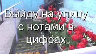 Выйду на улицу с нотами в цифрах
