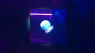 All Things Take Time - Ar Rouz (Official Audio) /// Lo-Fi Beats To Study To