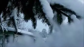 зимушка