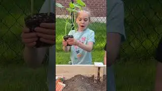 Home Garden Planting 🥬🥕